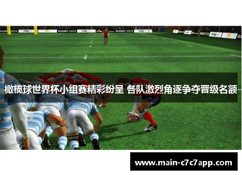 橄榄球世界杯小组赛精彩纷呈 各队激烈角逐争夺晋级名额