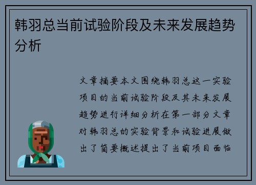 韩羽总当前试验阶段及未来发展趋势分析